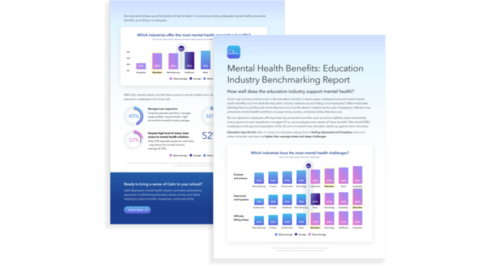 a brochure is shown with a blue background