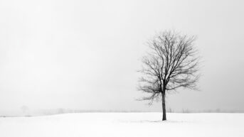 Seasonal depression