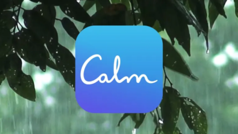 a picture of a tree with the word calm on it