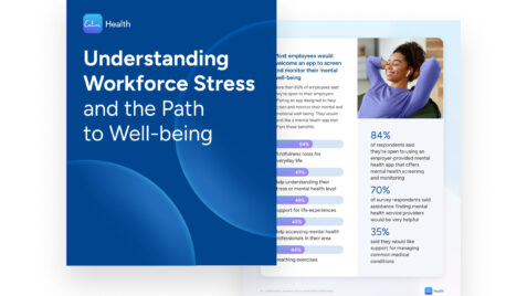 a brochure with a blue cover and a white background