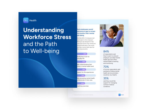 a brochure with a blue cover and a white background